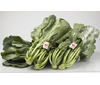 Collard