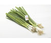 Green Onion