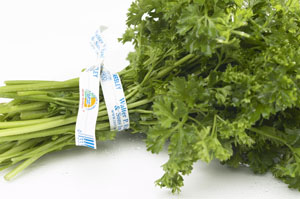 Parsley