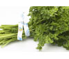 Parsley