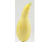 Yellow Squash
