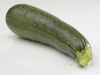 Zucchini