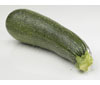 Zucchini