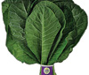 Organic Collard Greens