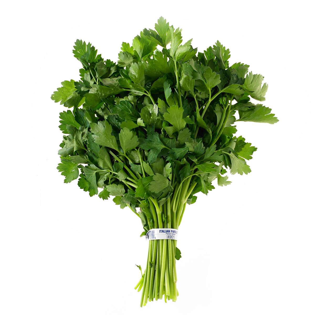 Italian Parsley